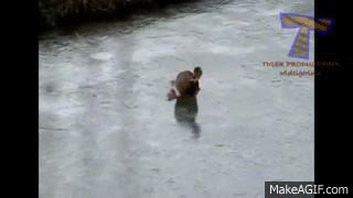 1420032600200117 Hate The Cold? These 23 Hysterical Animals Stuck On Ice Know Your Pain