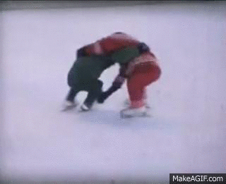1420032607354084 Hate The Cold? These 23 Hysterical Animals Stuck On Ice Know Your Pain