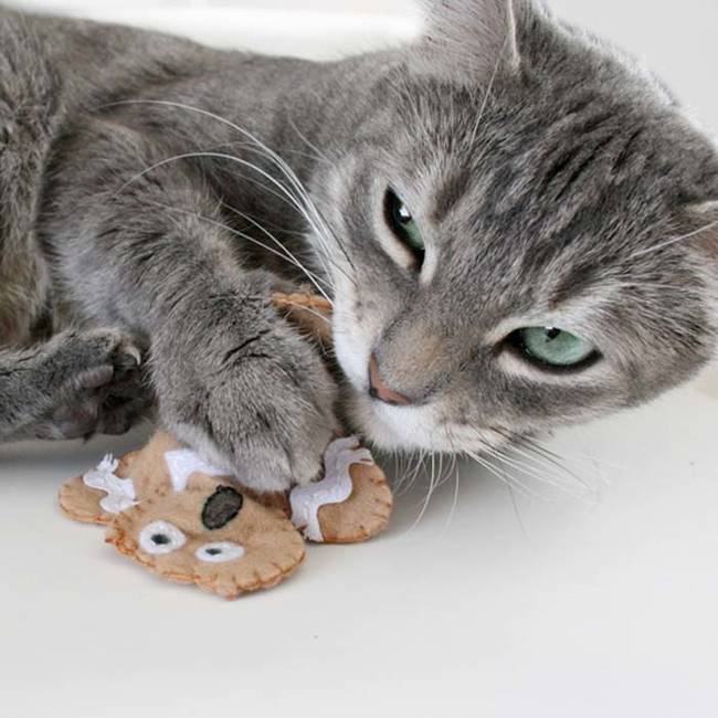 1420032642891696 Your Pets Will Go Nuts Over These 15 Simple Gifts You Can Make For Them At Home