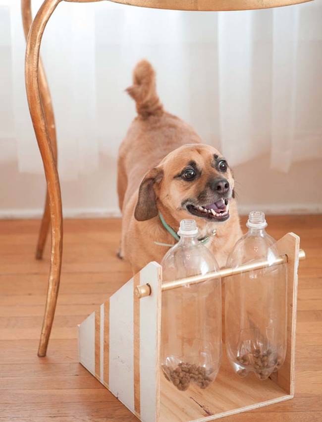 1420032646488476 Your Pets Will Go Nuts Over These 15 Simple Gifts You Can Make For Them At Home