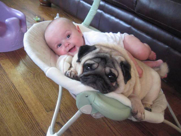 142003275663150 Here Are 13 Adorable Reasons Why You Should Let Your Kid Have A Dog