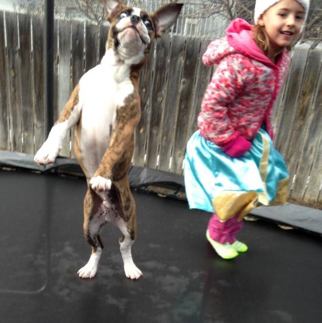 1420032756688083 Here Are 13 Adorable Reasons Why You Should Let Your Kid Have A Dog