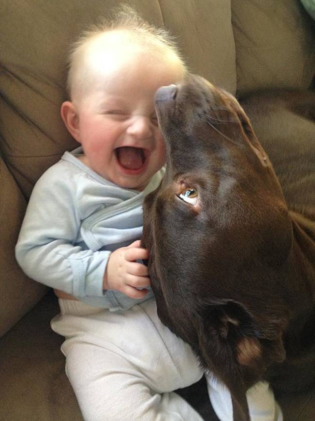 1420032758496268 Here Are 13 Adorable Reasons Why You Should Let Your Kid Have A Dog