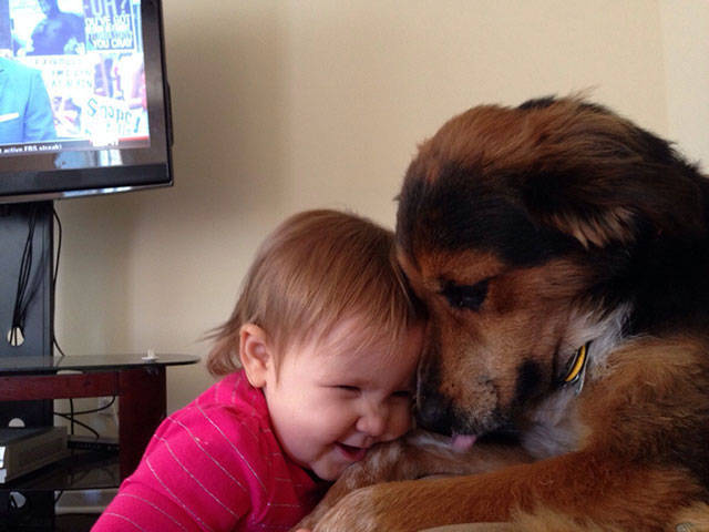1420032758934612 Here Are 13 Adorable Reasons Why You Should Let Your Kid Have A Dog