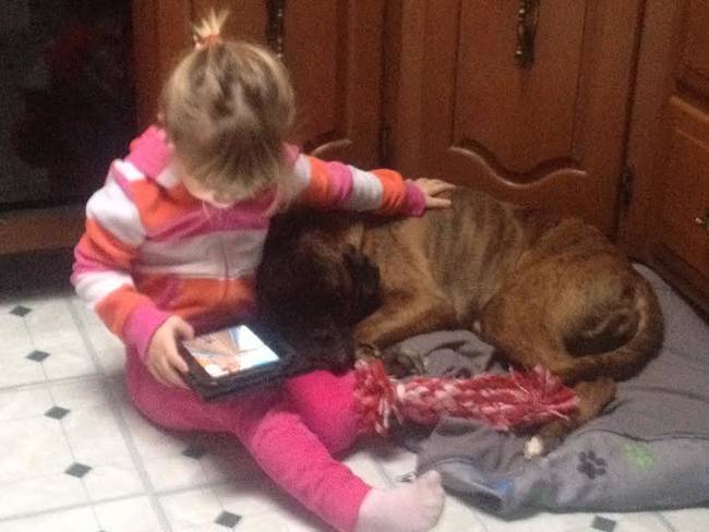 1420032760394612 Here Are 13 Adorable Reasons Why You Should Let Your Kid Have A Dog