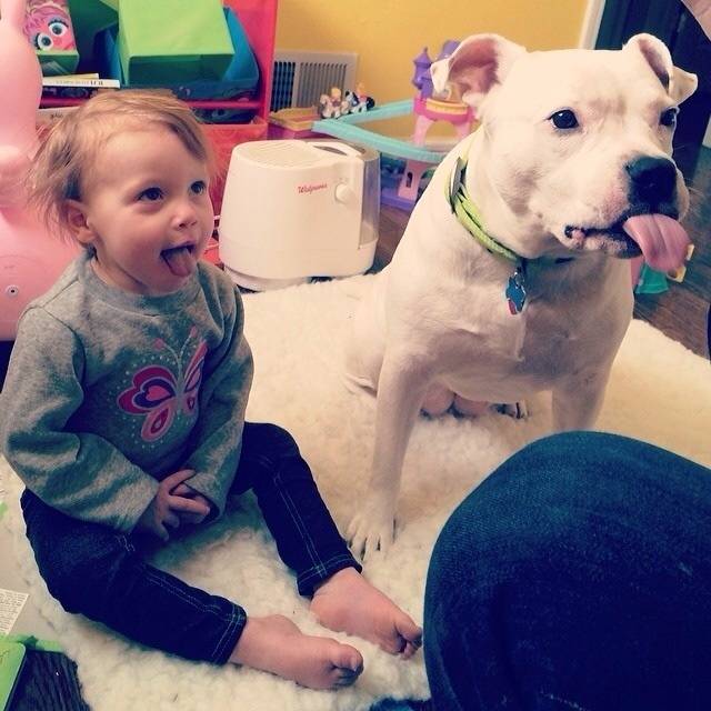 1420032760567293 Here Are 13 Adorable Reasons Why You Should Let Your Kid Have A Dog