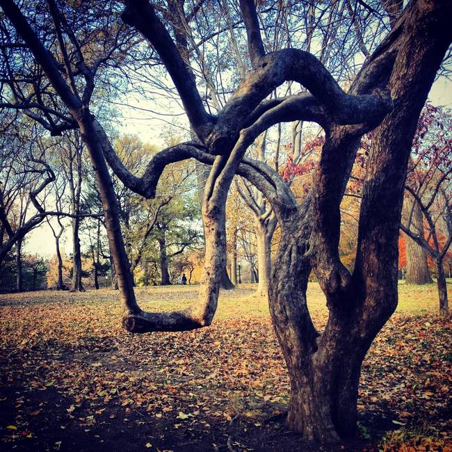 1420348088125117 These 16 Unique Swings Give The Most Thrilling Views From Around World