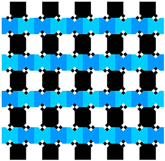 1420348095808356 These 29 Optical Illusions May Be Simple, But Each Will Drop Your Jaw