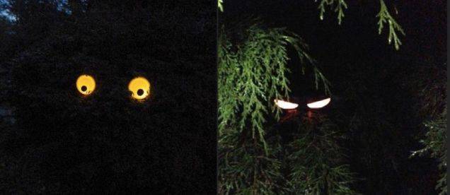 1420350073571157 These 15 Cleverly Simple Ways To Creep Out Your Neighbors Are GENIUS.