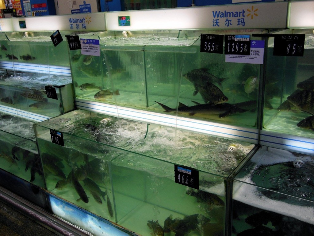 20 items you can only discover in a chinese walmart 9 20 Weird Things You Can Only Get At a Chinese Walmart