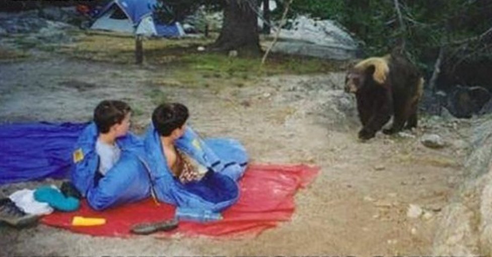 20 of the funniest camping photos of all time 5 20 Rules For Camping