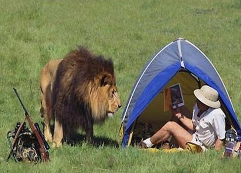 20 of the funniest camping photos of all time 9 20 Rules For Camping