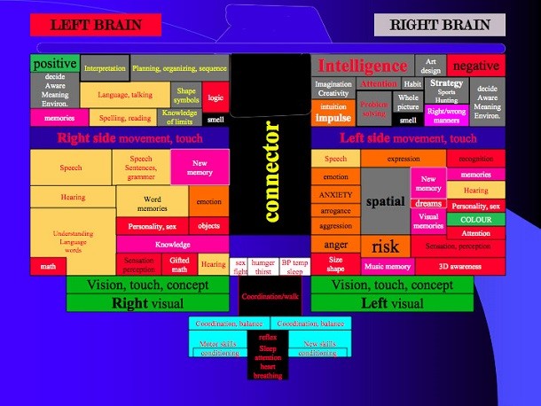 Left and Right Brain 610x458 20 Advantageous Stuff About Being A Lefty