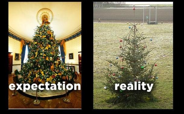 memey.com funny christmas trees expectation vs reality 610x379 Extremely Funny Epic Fails from an Expectation V.S. Reality Perspective