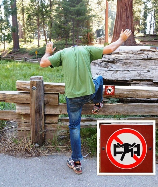www.boredpanda.com first world anarchists funny rebels 35 610x719 20 Rebellious Photos That Clearly Defies Given Rules