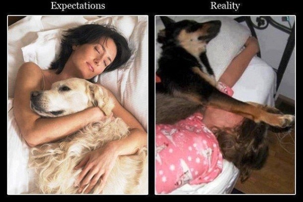 www.viralands.com expectation vs reality 3 610x407 Extremely Funny Epic Fails from an Expectation V.S. Reality Perspective